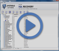 SQL Data Recovery Video